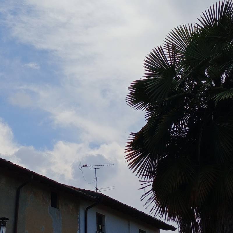 Fotosegnalazione di Gabbioneta binanuova