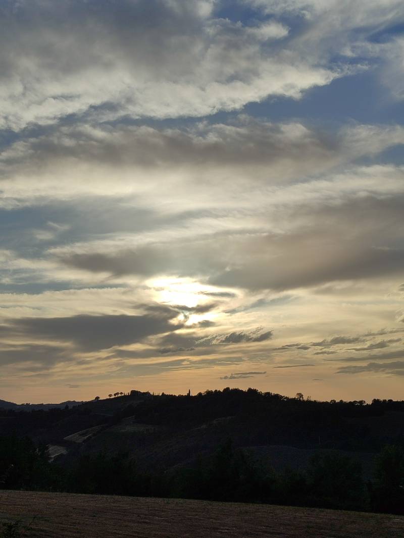 velature estese
