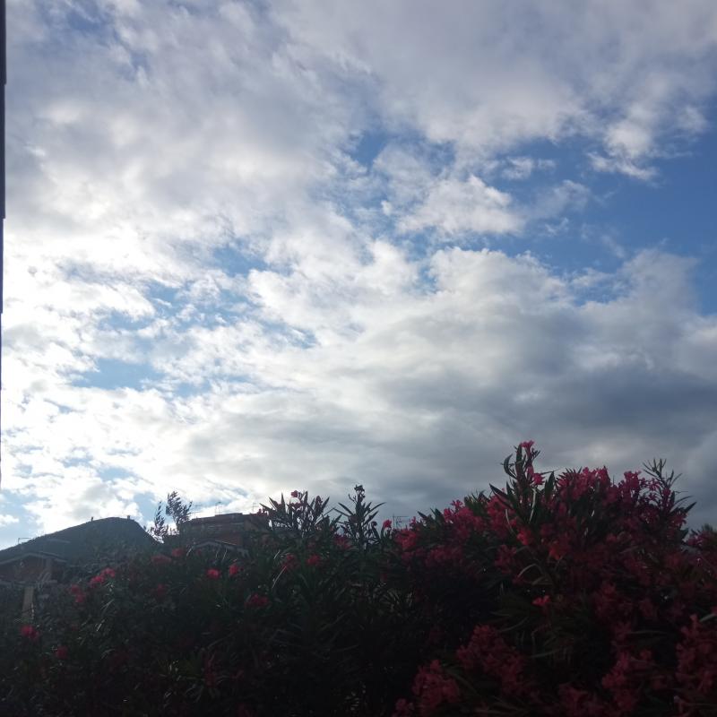 Fotosegnalazione di Palombara sabina