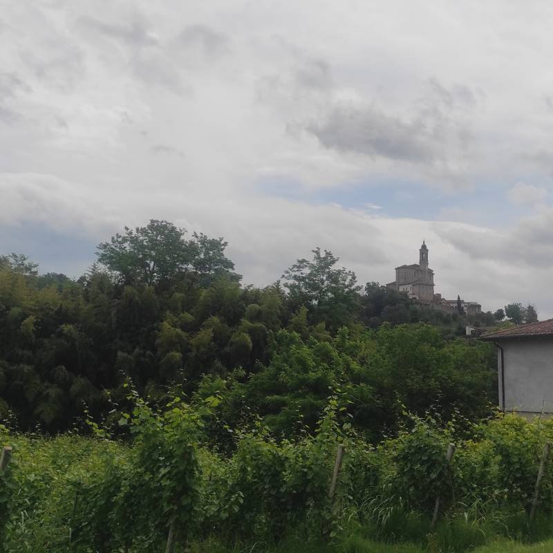 Fotosegnalazione di Torricella verzate