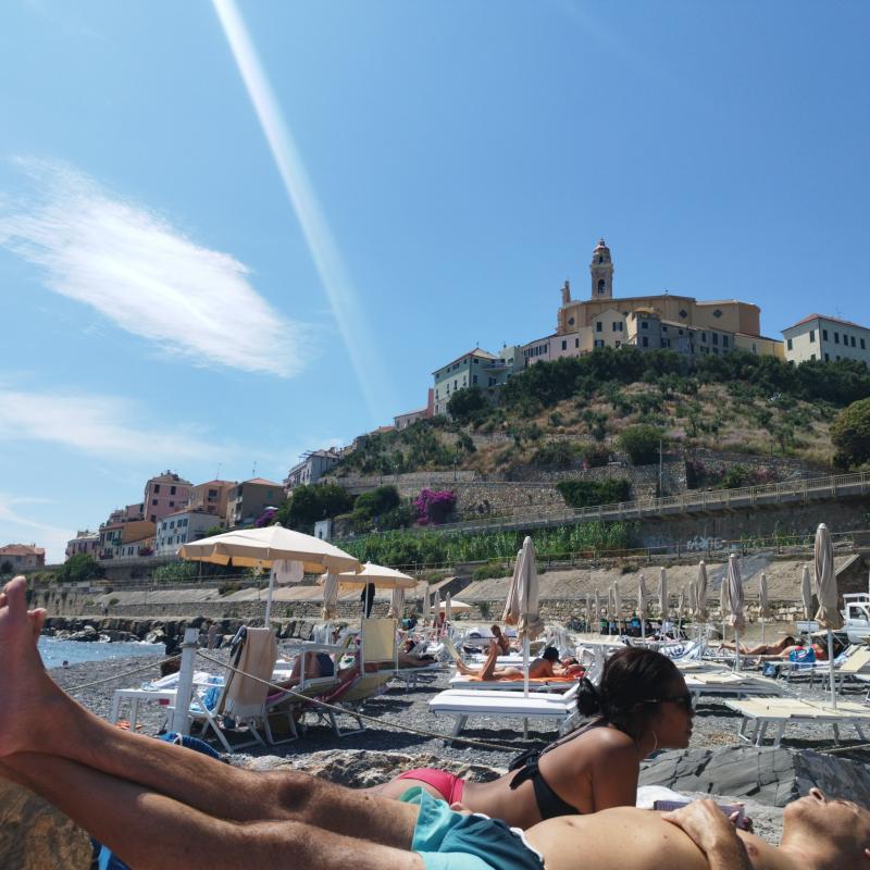 Fotosegnalazione di Cervo