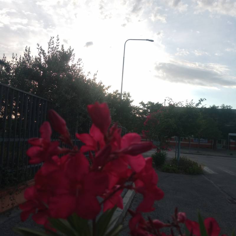 Fotosegnalazione di Bagnarola