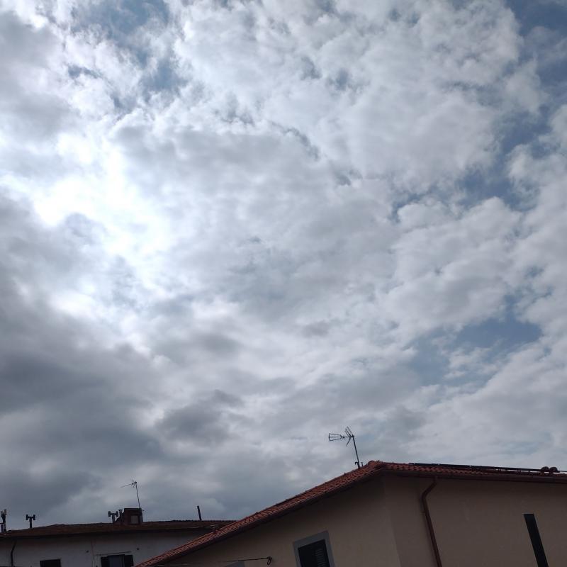 Fotosegnalazione di Livorno salviano - scopaia