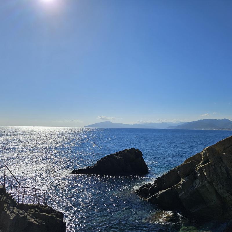 Fotosegnalazione di Sestri levante
