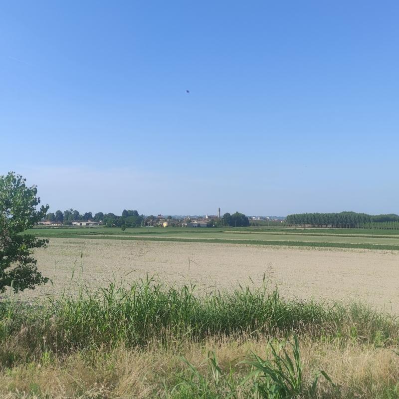 Fotosegnalazione di Pieve porto morone