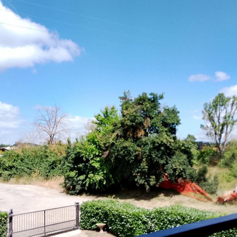 Fotosegnalazione di Arezzo chiassa