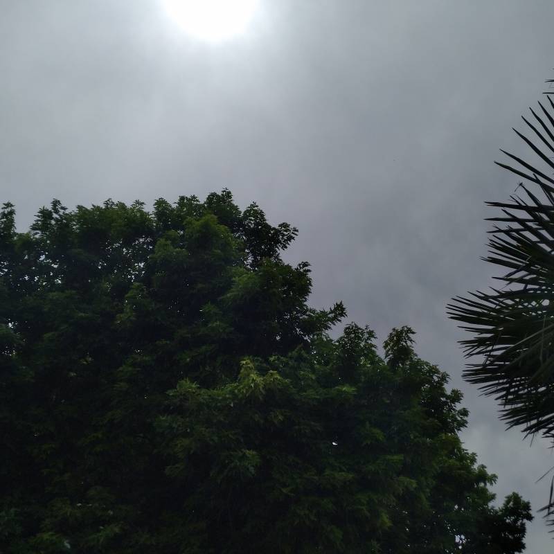 Fotosegnalazione di Cassolnovo