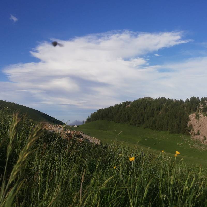 Fotosegnalazione di Castelmagno