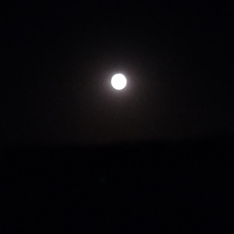 Fotosegnalazione di Vasto