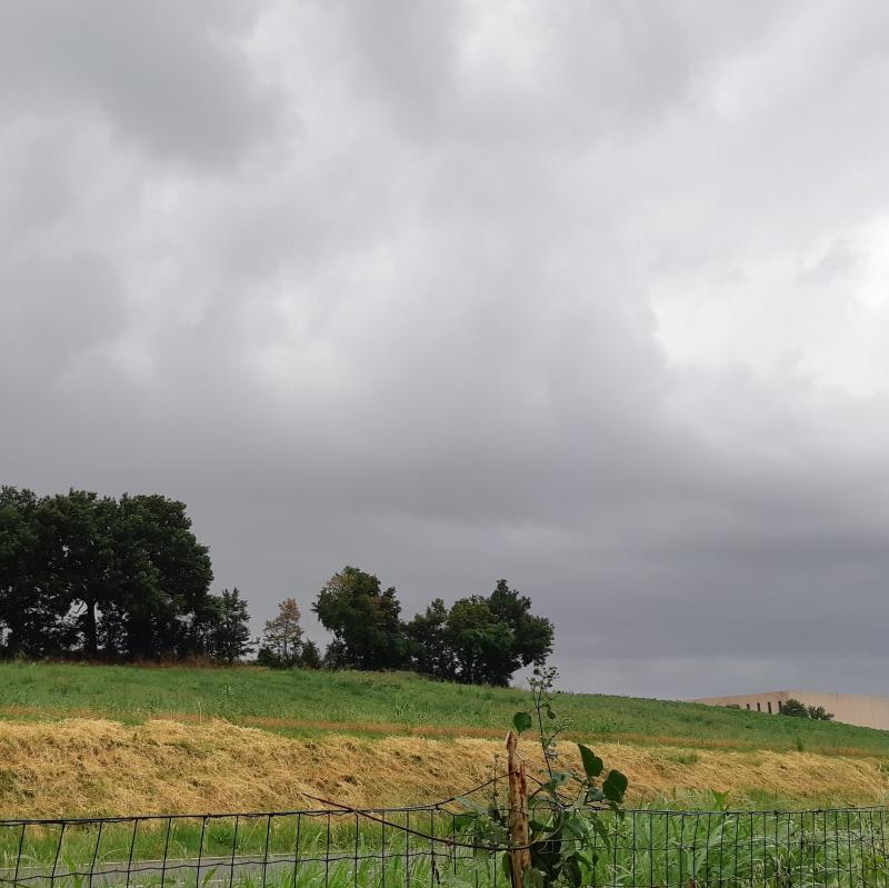 Fotosegnalazione di Alseno