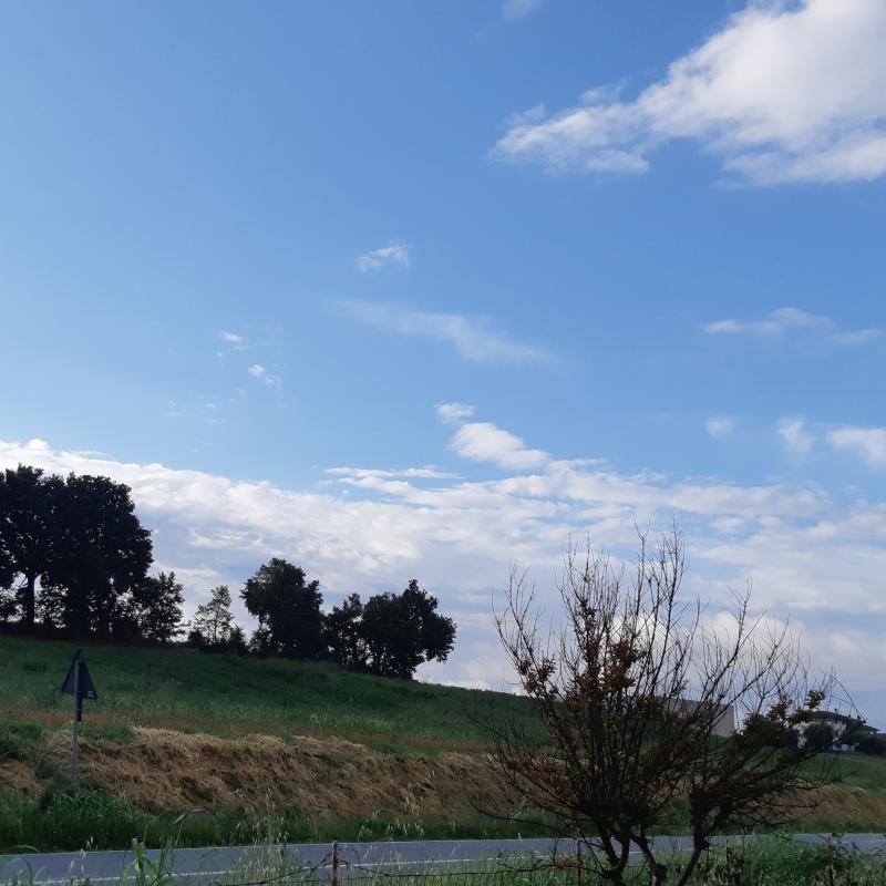 Fotosegnalazione di Alseno