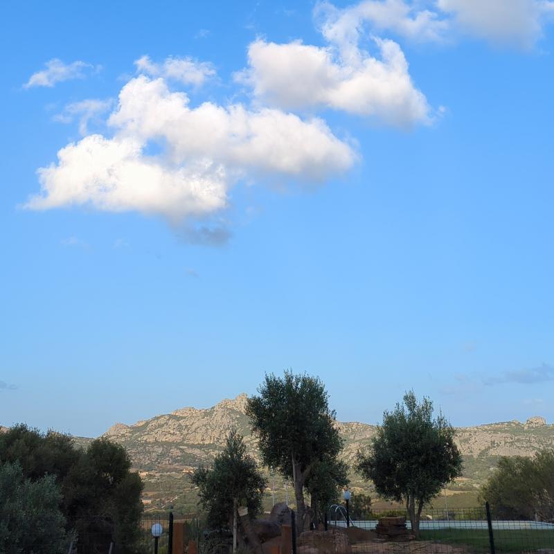 Fotosegnalazione di Arzachena
