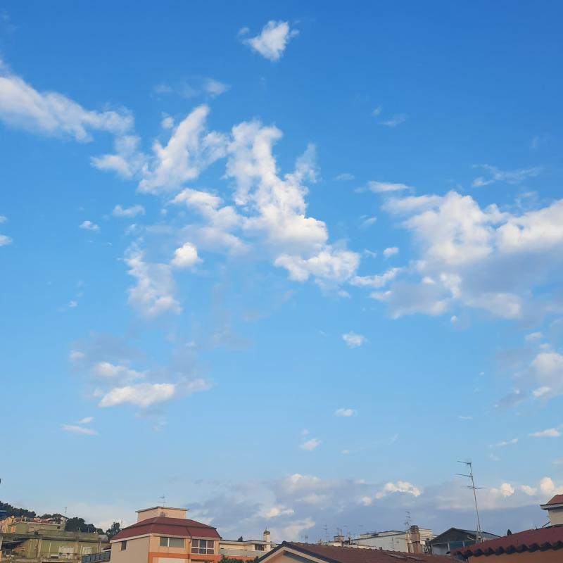 Fotosegnalazione di Falconara marittima