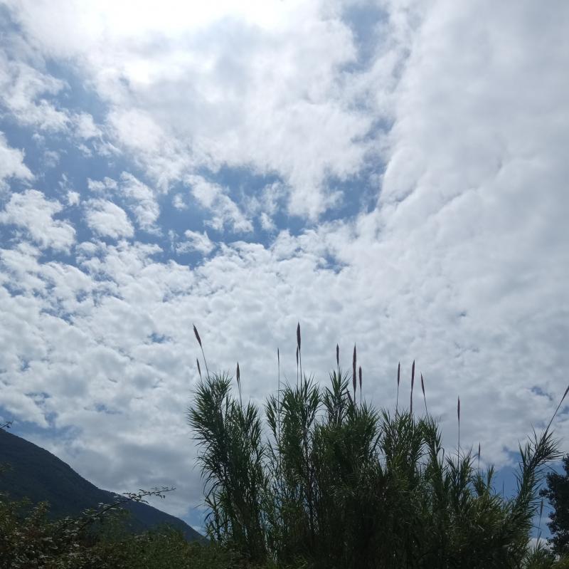 Fotosegnalazione di Palombara sabina