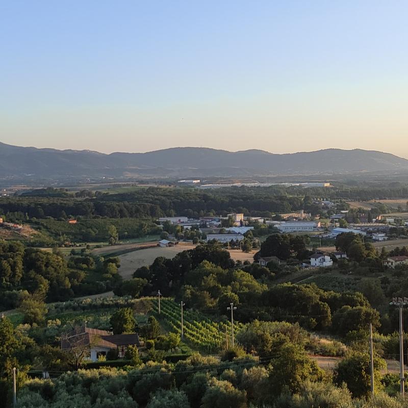 Fotosegnalazione di Paliano