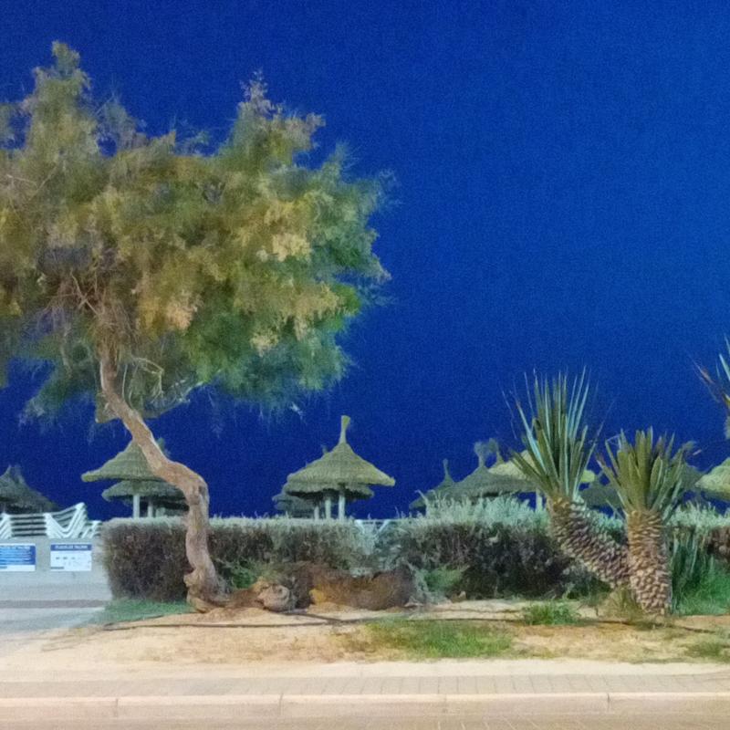 Fotosegnalazione di Playa de palma