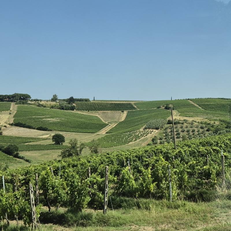 Fotosegnalazione di Cerreto guidi
