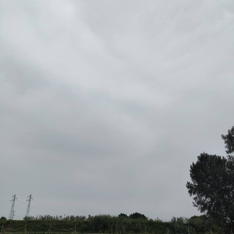 Fotosegnalazione di Castel bolognese