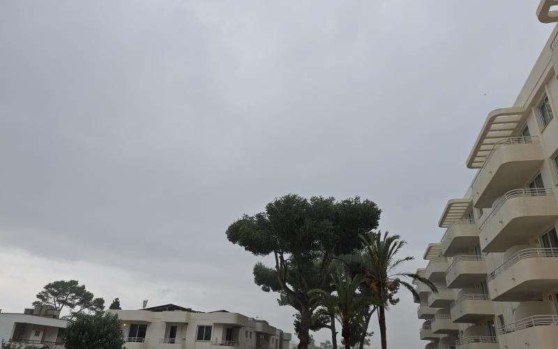 1330 01.07.2024 piove
