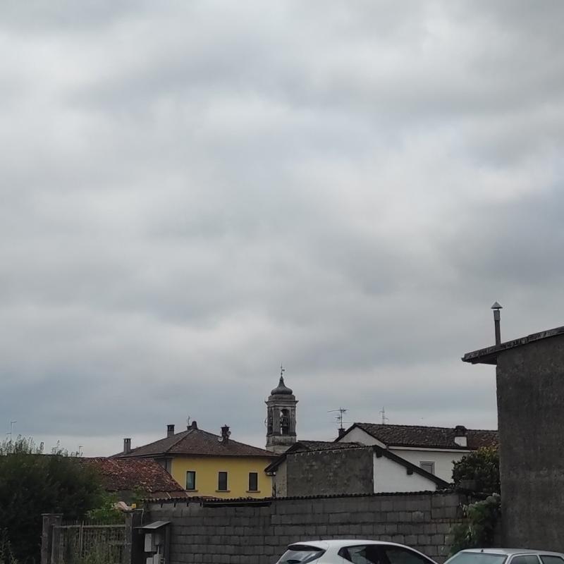 Fotosegnalazione di Zerbo