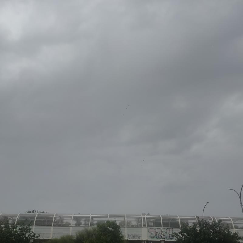 Fotosegnalazione di Borghesiana