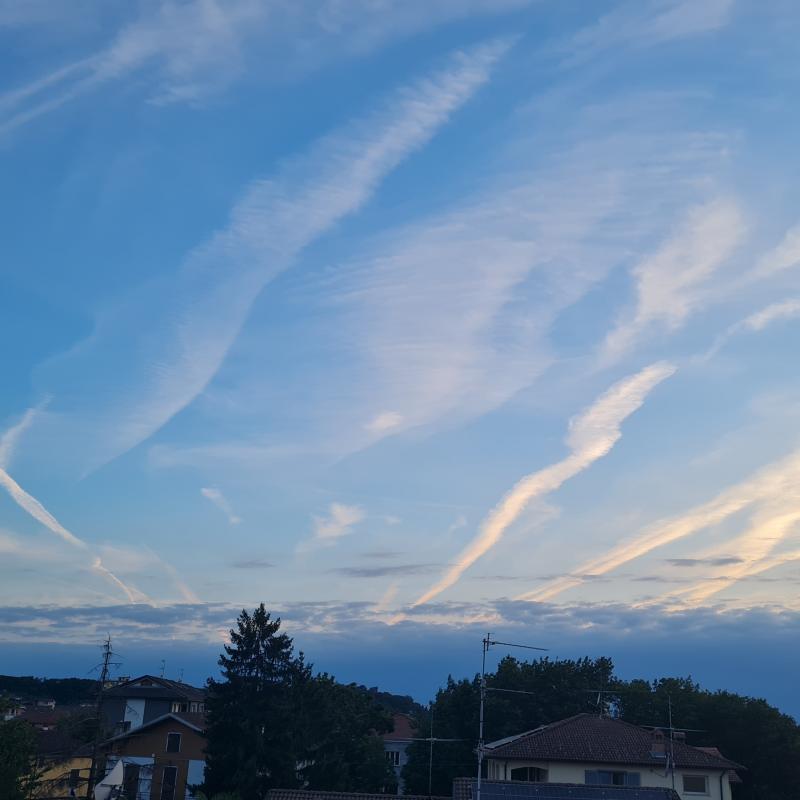 figli di mignotta in azione per s re il cielo