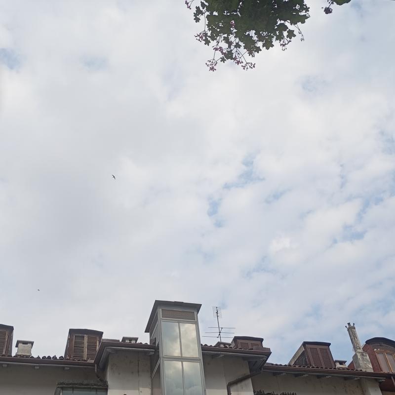 Fotosegnalazione di Torino san salvario