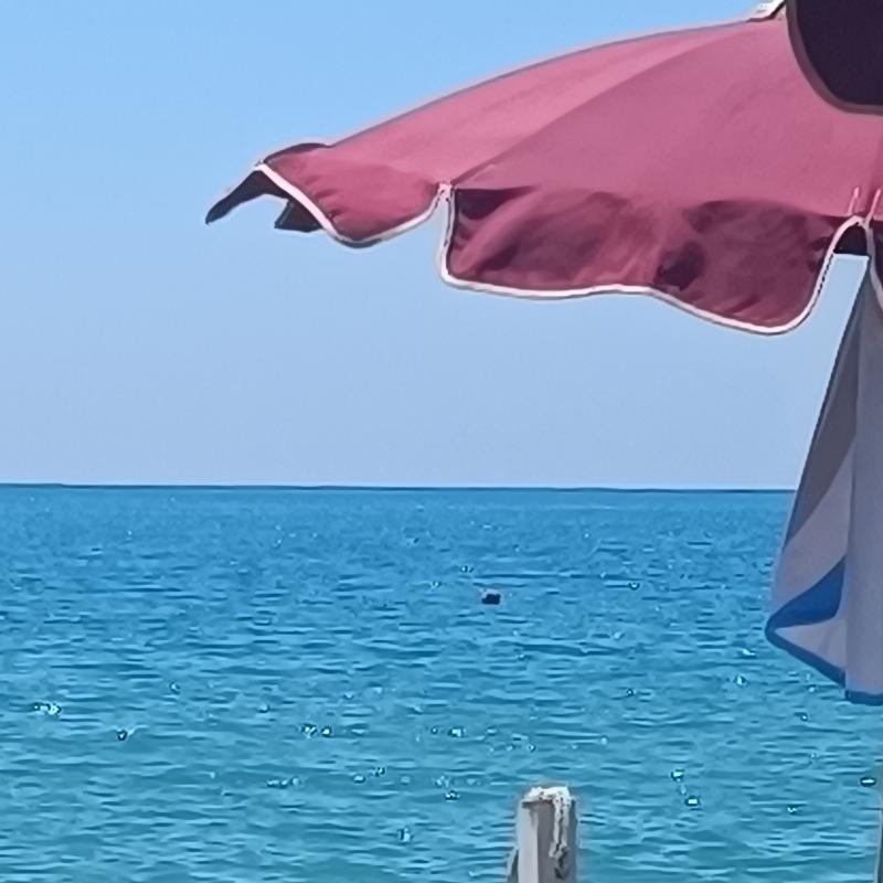 Fotosegnalazione di Sapri