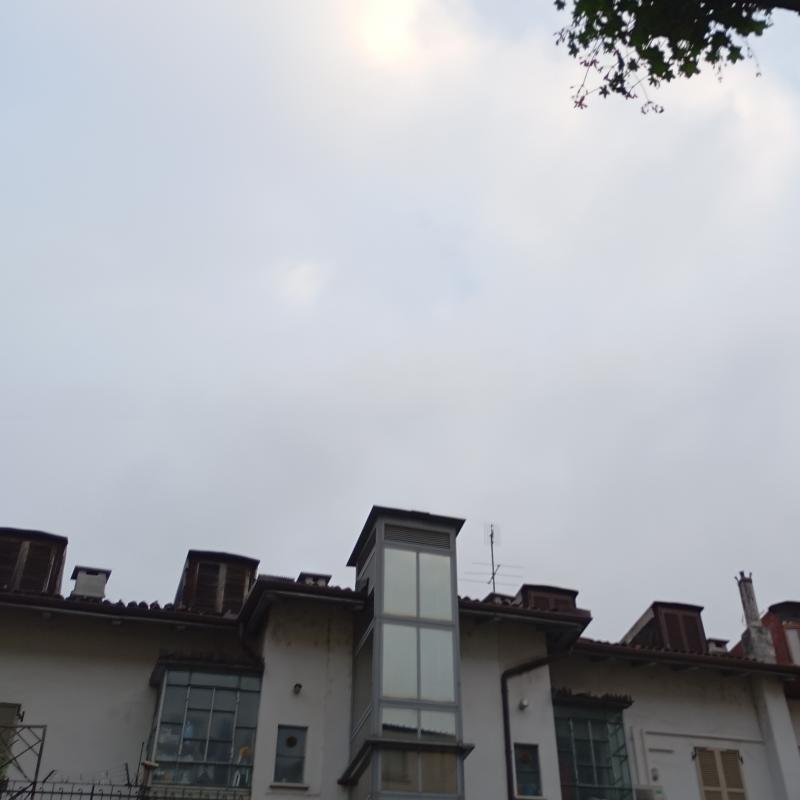 Fotosegnalazione di Torino san salvario