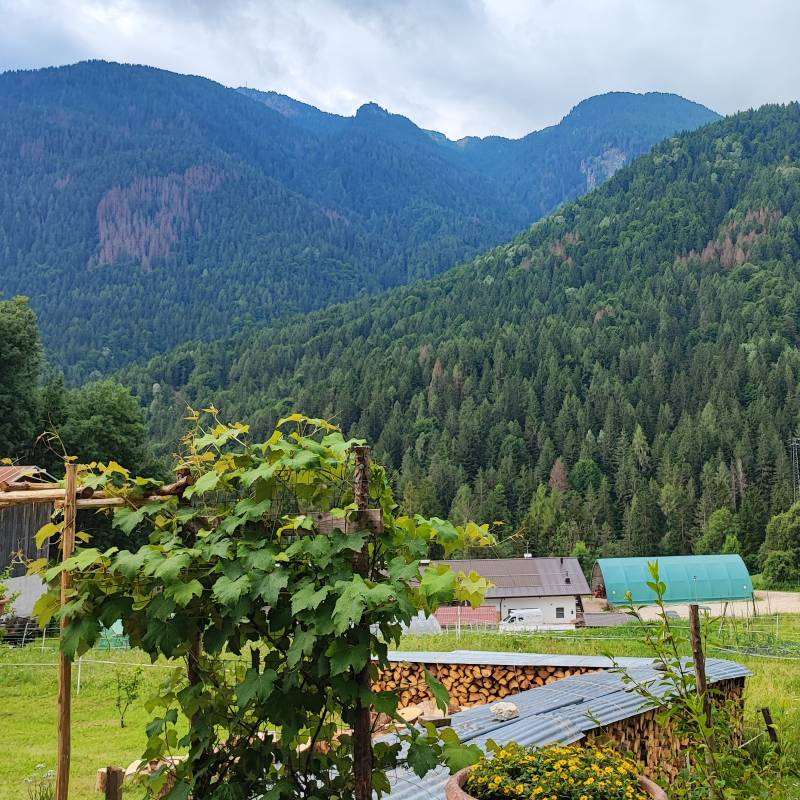 Fotosegnalazione di Vodo cadore