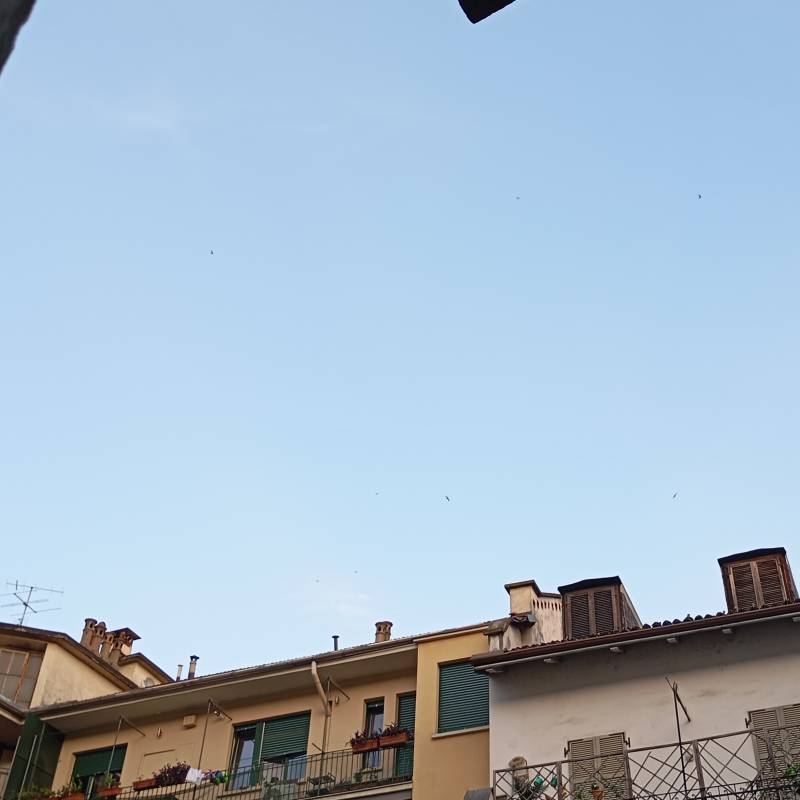 Fotosegnalazione di Torino san salvario