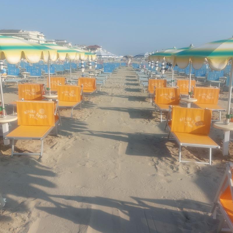 Fotosegnalazione di Bellaria igea marina
