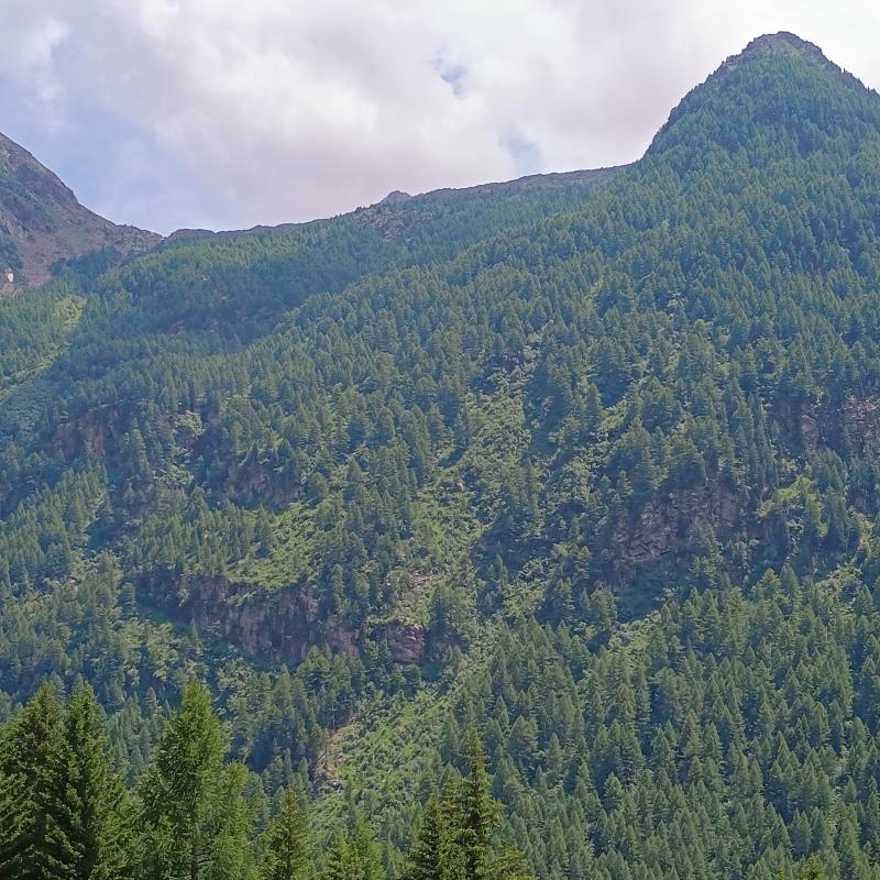 Fotosegnalazione di Chiesa in valmalenco