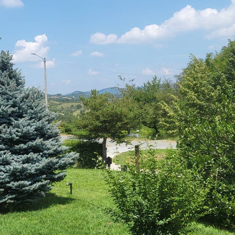Fotosegnalazione di Mioglia