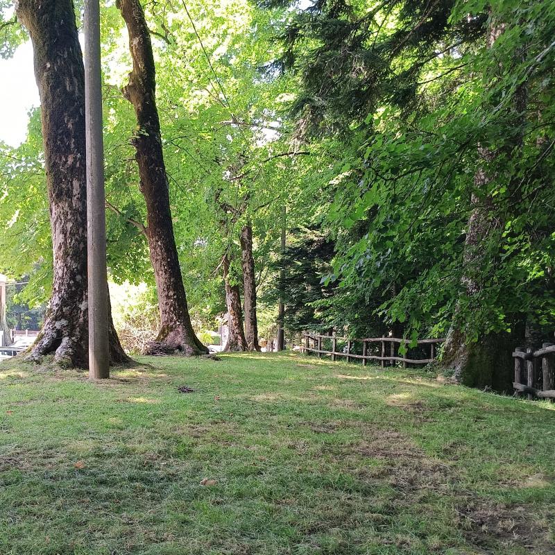 Fotosegnalazione di Vallombrosa