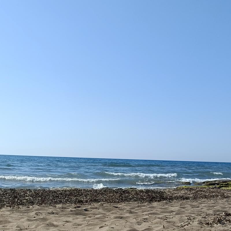 Fotosegnalazione di San vincenzo