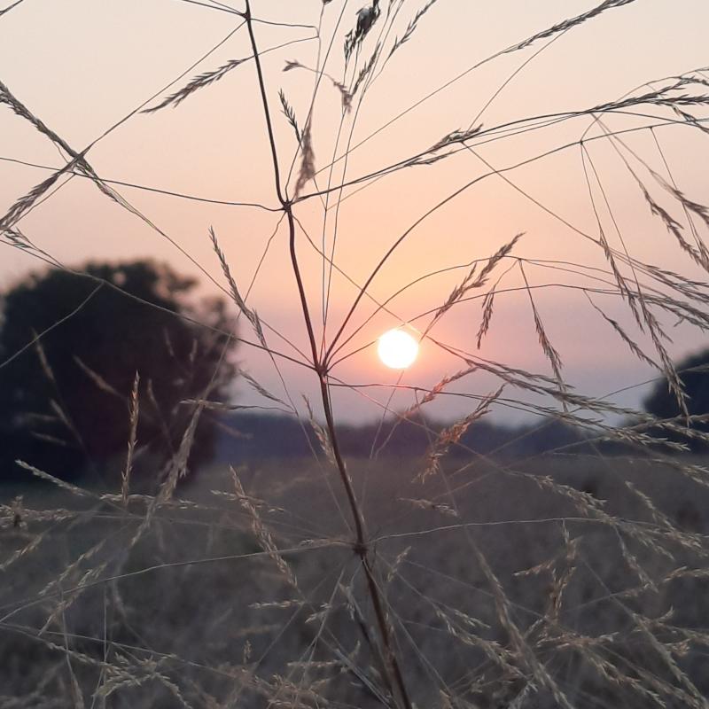 Fotosegnalazione di Piossasco