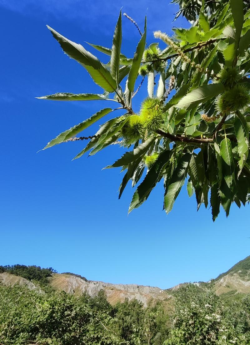giornata splendida