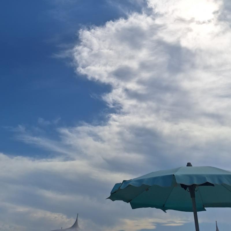 Fotosegnalazione di Lignano pineta