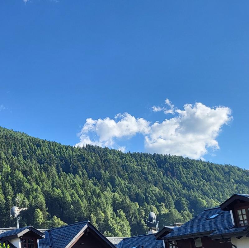 Fotosegnalazione di Corteno golgi