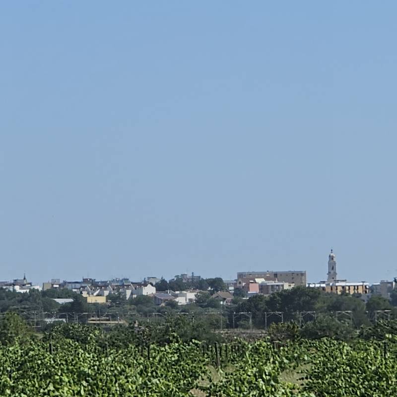 Fotosegnalazione di Gioia del colle