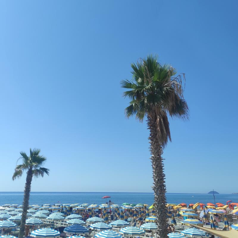 Fotosegnalazione di Loano