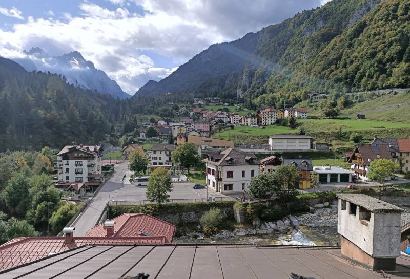 vista di avoltri da un tetto