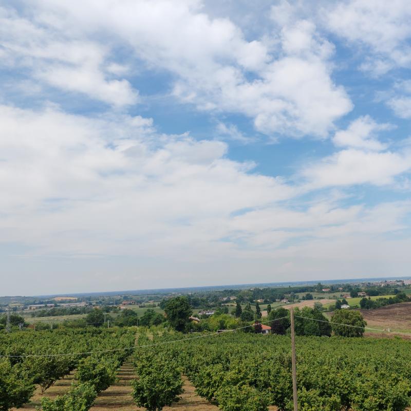 Fotosegnalazione di Valenza