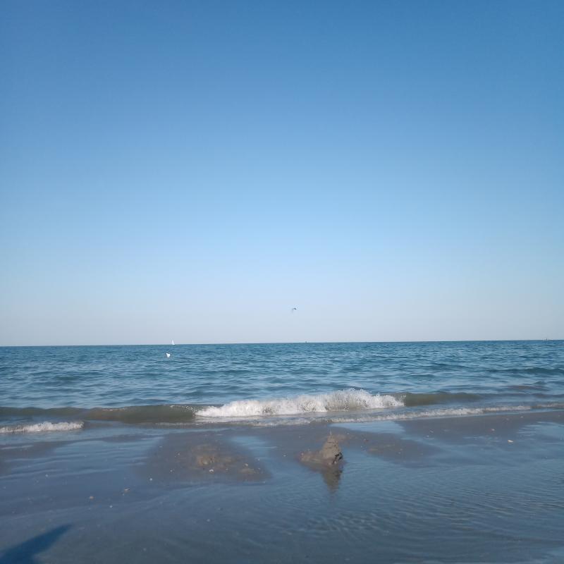 Fotosegnalazione di Atlantica