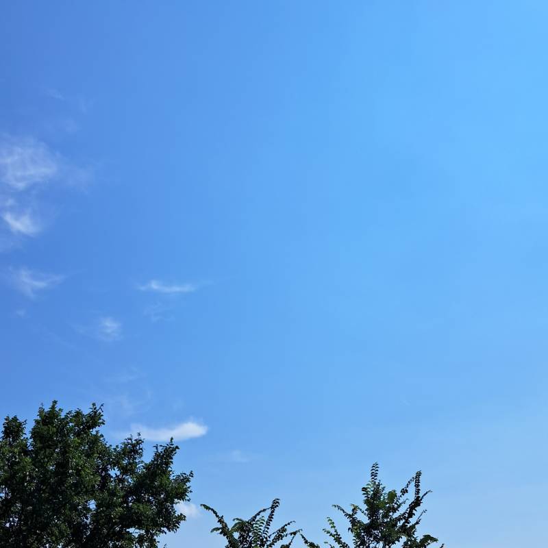 Bellissima giornata per adesso
