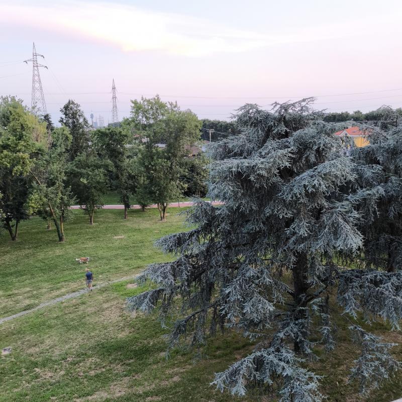 Fotosegnalazione di Cologno monzese