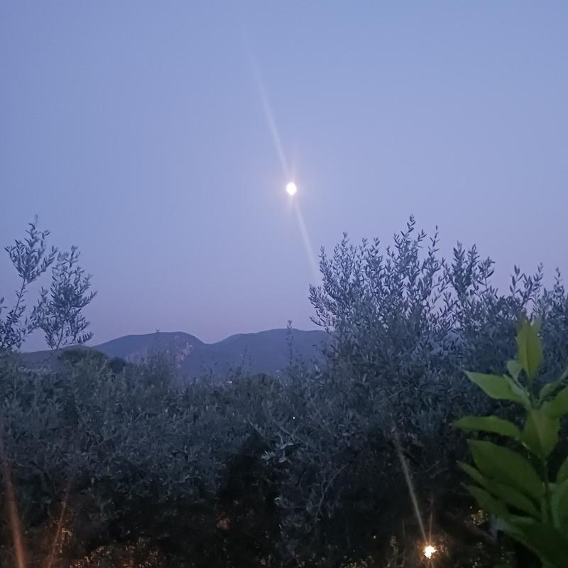 Fotosegnalazione di Terni periferia nord