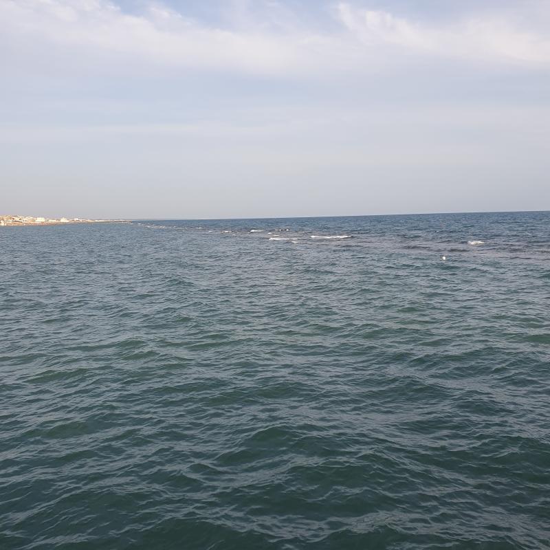 Fotosegnalazione di Lido di ostia