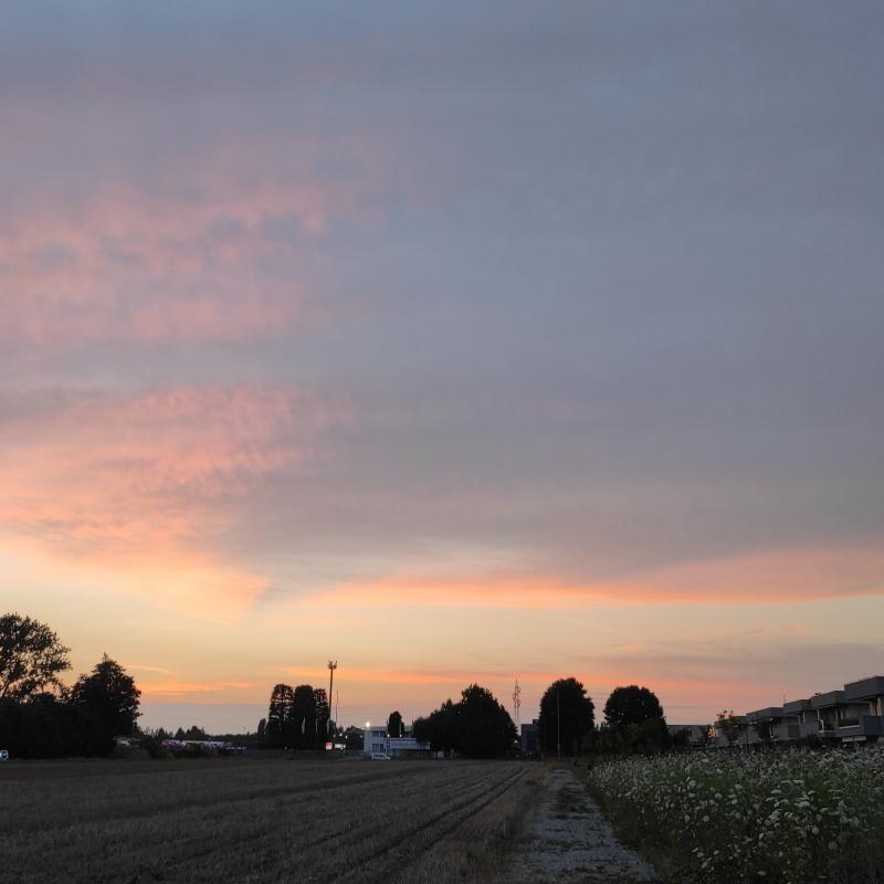 Fotosegnalazione di Albiate